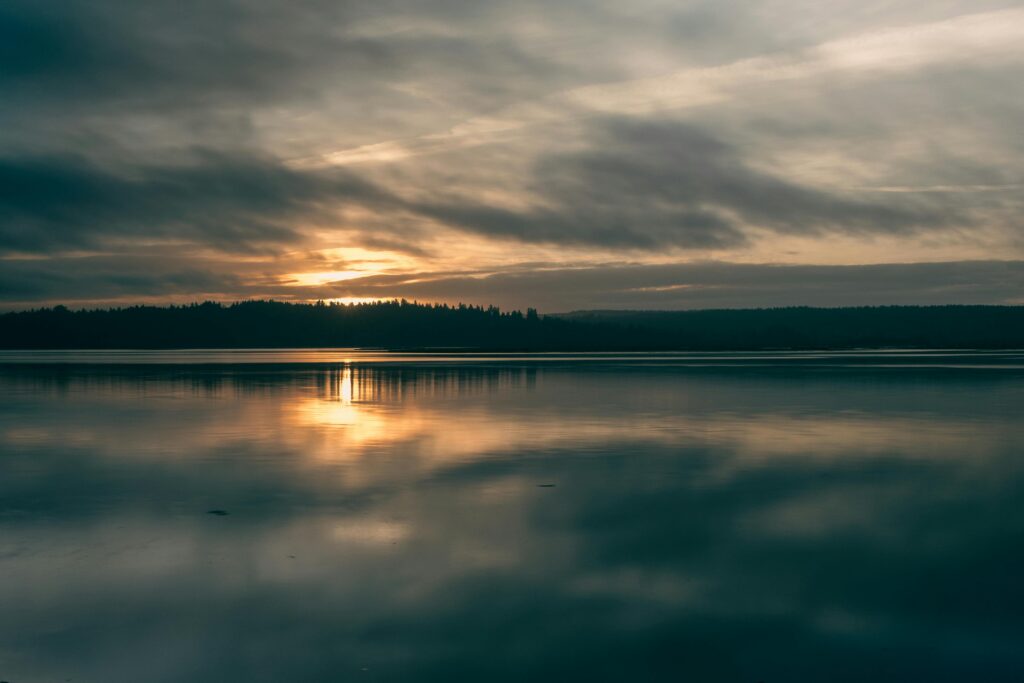 pexels-mike-gordon-2149692112-34380923